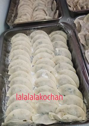 我が家の水餃子-レシピのメイン写真