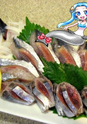 さんまの刺身-レシピのメイン写真