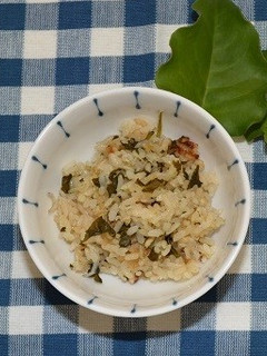 オカワカメの炊き込みご飯-レシピのメイン写真