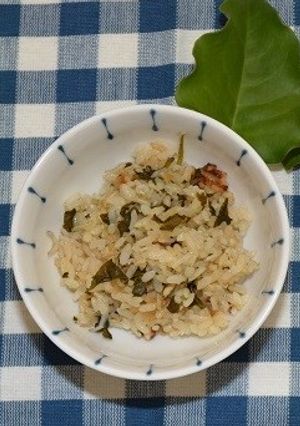 オカワカメの炊き込みご飯-レシピのメイン写真