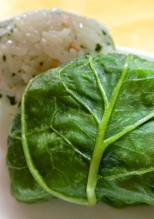 大人味カラシナのおにぎり-レシピのメイン写真