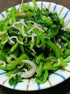 ほうれん草としらすのおひたし-レシピのメイン写真