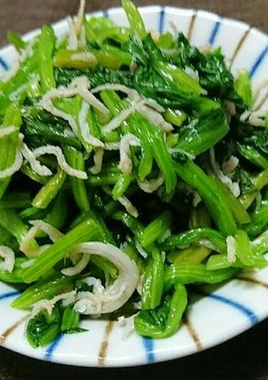 ほうれん草としらすのおひたし-レシピのメイン写真