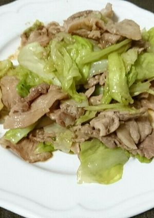 キャベツと豚こま肉のオイマヨ炒め-レシピのメイン写真