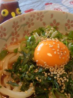 ずぼらさん向けぶっかけうどん-レシピのメイン写真