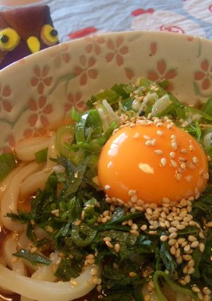 ずぼらさん向けぶっかけうどん-レシピのメイン写真