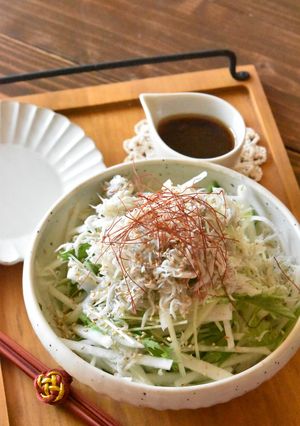 大根としらすの中華風サラダ-レシピのメイン写真