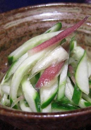 きゅうり一本の箸休め-レシピのメイン写真