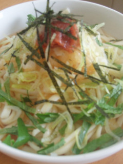 簡単!あっさり夏の冷しうどん-レシピのメイン写真