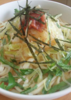 簡単!あっさり夏の冷しうどん-レシピのメイン写真