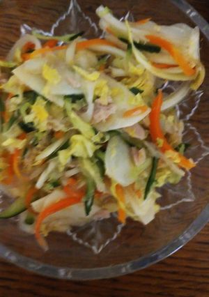 ゅぅぉの白菜サラダ-レシピのメイン写真