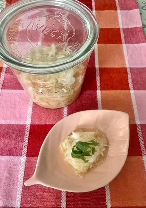 玉ねぎの甘酢漬け-レシピのメイン写真