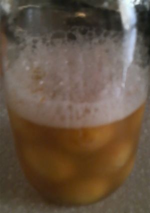 自家製酵母　梅バージョン-レシピのメイン写真