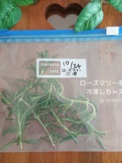 ローズマリーを冷凍しちゃえ-レシピのメイン写真