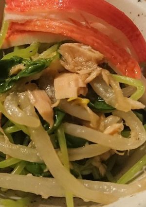 ツナ缶、もやし、豆苗…家計応援副菜-レシピのメイン写真