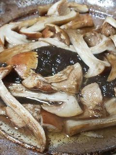 クリフウセンタケ、とろろ昆布の焼きキノコ-レシピのメイン写真
