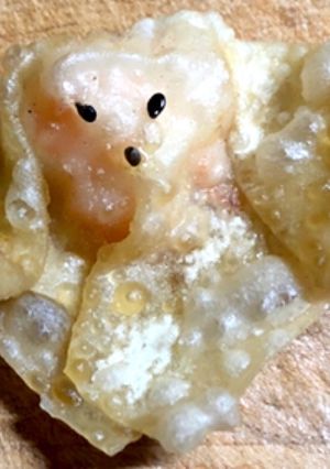 ハロウィン　お化け　エビワンタン-レシピのメイン写真