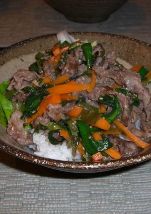 野菜たくさんの焼肉丼-レシピのメイン写真