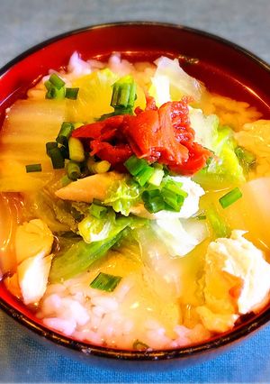 鶏ささみと白菜のさっぱりヘルシーかけ丼-レシピのメイン写真