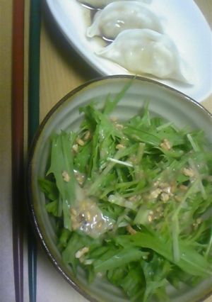 水菜って・・・-レシピのメイン写真