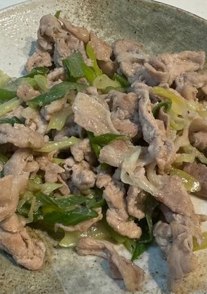 豚肉のネギ塩炒め-レシピのメイン写真
