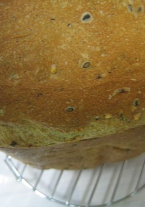 ＨＢで☆ぷちぷち香ばしゴマ食パン♪-レシピのメイン写真