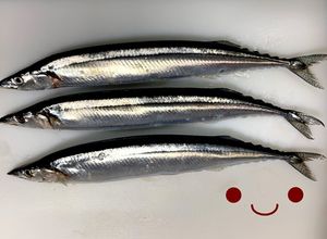 【基本】さんまの三枚おろし(刺身まで)-レシピのメイン写真