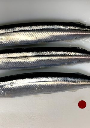 【基本】さんまの三枚おろし(刺身まで)-レシピのメイン写真
