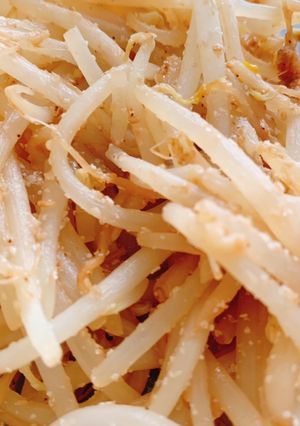 酢もやし-レシピのメイン写真