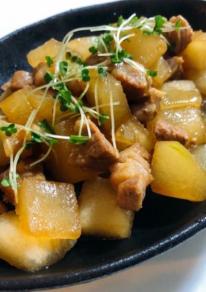 お肉と冬瓜の炒め煮-レシピのメイン写真