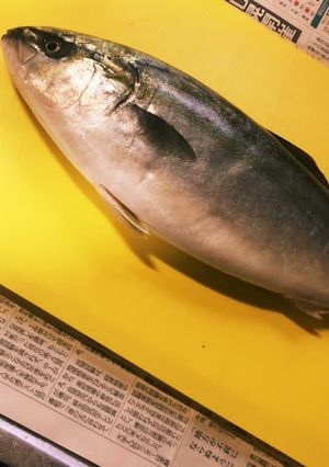 いなだの捌き方 Sally流-レシピのメイン写真