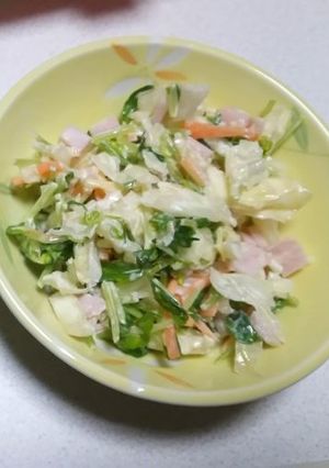 豆苗のコールスロー-レシピのメイン写真