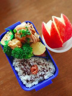 しょうが焼き弁当-レシピのメイン写真