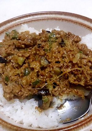 ヘルシー ドライカレー-レシピのメイン写真