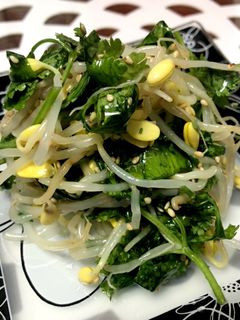 大豆もやしとパクチーのエスニックナムル-レシピのメイン写真