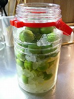 夏を乗り切る!梅サワー☆-レシピのメイン写真