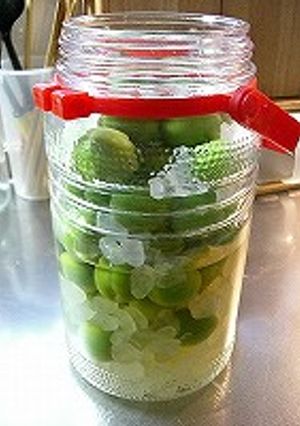 夏を乗り切る！梅サワー☆-レシピのメイン写真