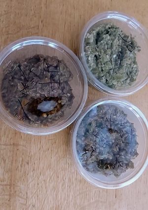 青唐辛子柚甘味噌。ちょっぴりピリリ-レシピのメイン写真