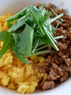 簡単☆そぼろ丼-レシピのメイン写真