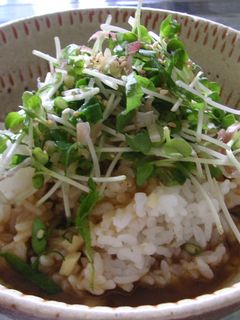 夏の!卵かけごはん-レシピのメイン写真