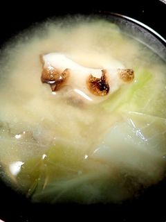 キャベツとごろごろ竹輪の味噌汁-レシピのメイン写真