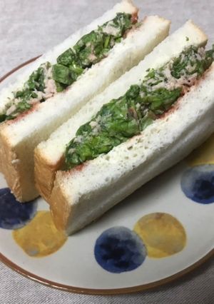 レタスたっぷりシーチキンサンドウィッチ-レシピのメイン写真