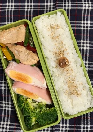 20191106マイ弁当-レシピのメイン写真