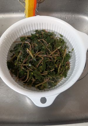 スベリヒユの仕込み-レシピのメイン写真