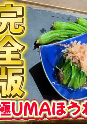 黄金比！極UMAほうれん草のおひたし-レシピのメイン写真