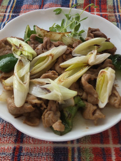 肉ねぎ炒め♪-レシピのメイン写真