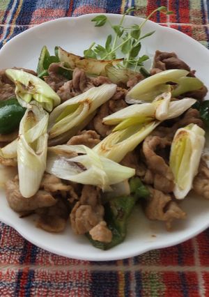 肉ねぎ炒め♪-レシピのメイン写真