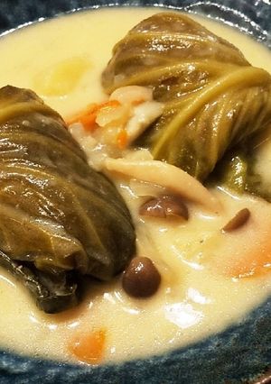 ロールキャベツのシチュー煮-レシピのメイン写真