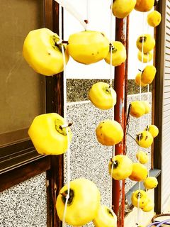干し柿の作り方-レシピのメイン写真
