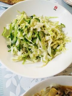簡単すぎる!キャベツときゅうりのサラダ-レシピのメイン写真